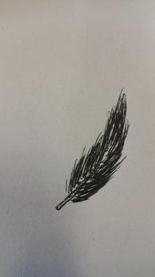 Feathers